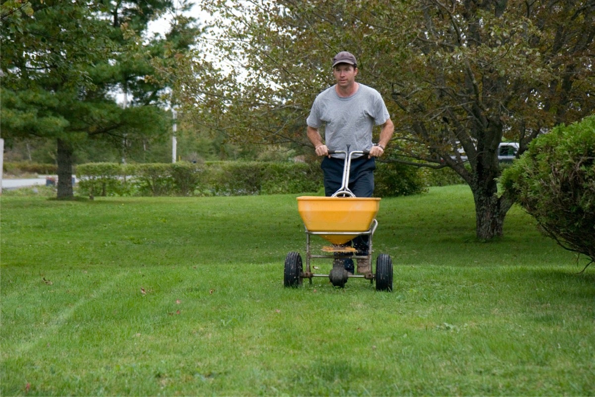 Lawn Doctor vs. TruGreen
