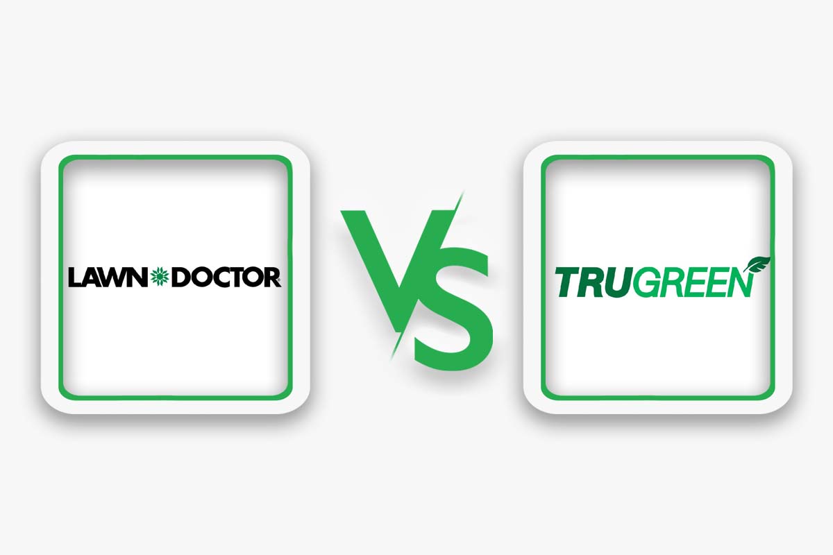 Lawn Doctor vs. TruGreen Which Lawn Care Service Should You Choose in
