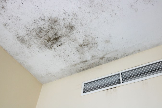 Solved! This Is What Mold on the Ceiling Means—and Here’s How to Get Rid of It