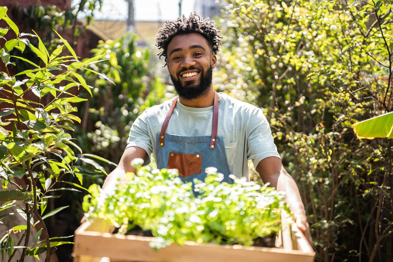 A person holding a tray of plants while wearing the best gardening apron option