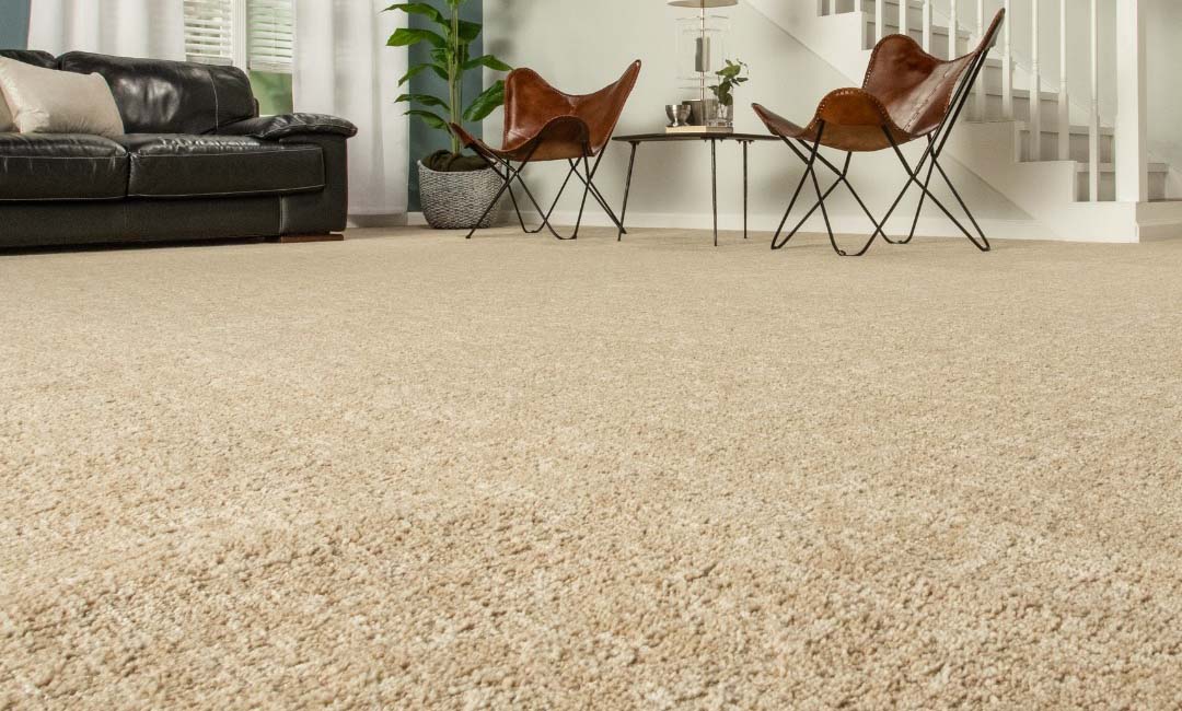 The Best Places to Buy Carpet Option Luna