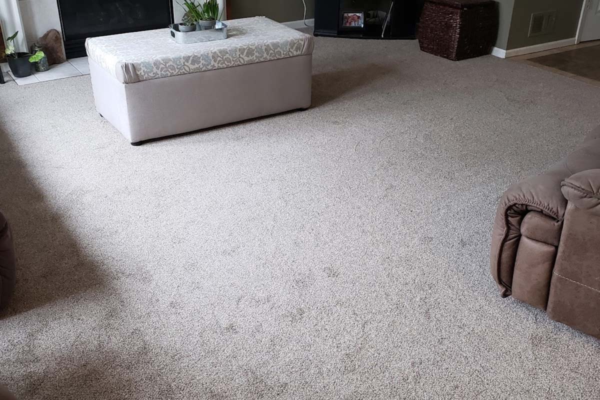 The Best Places to Buy Carpet Option The Carpet Guys