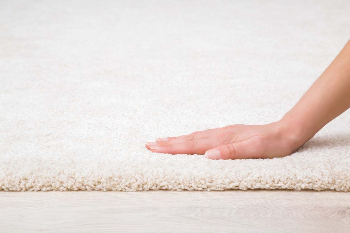 The Best Places to Buy Carpet Options