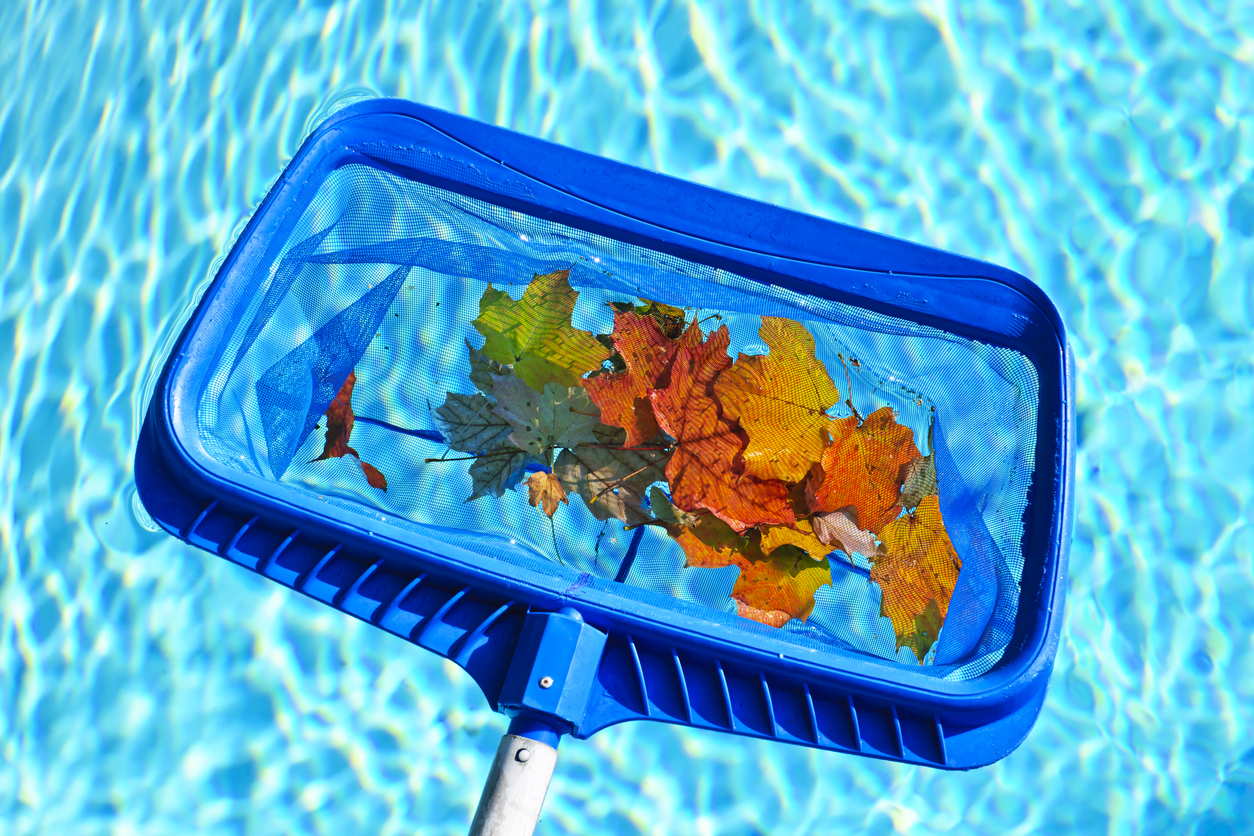 The Best Pool Skimmer Option collecting leaves from a pool
