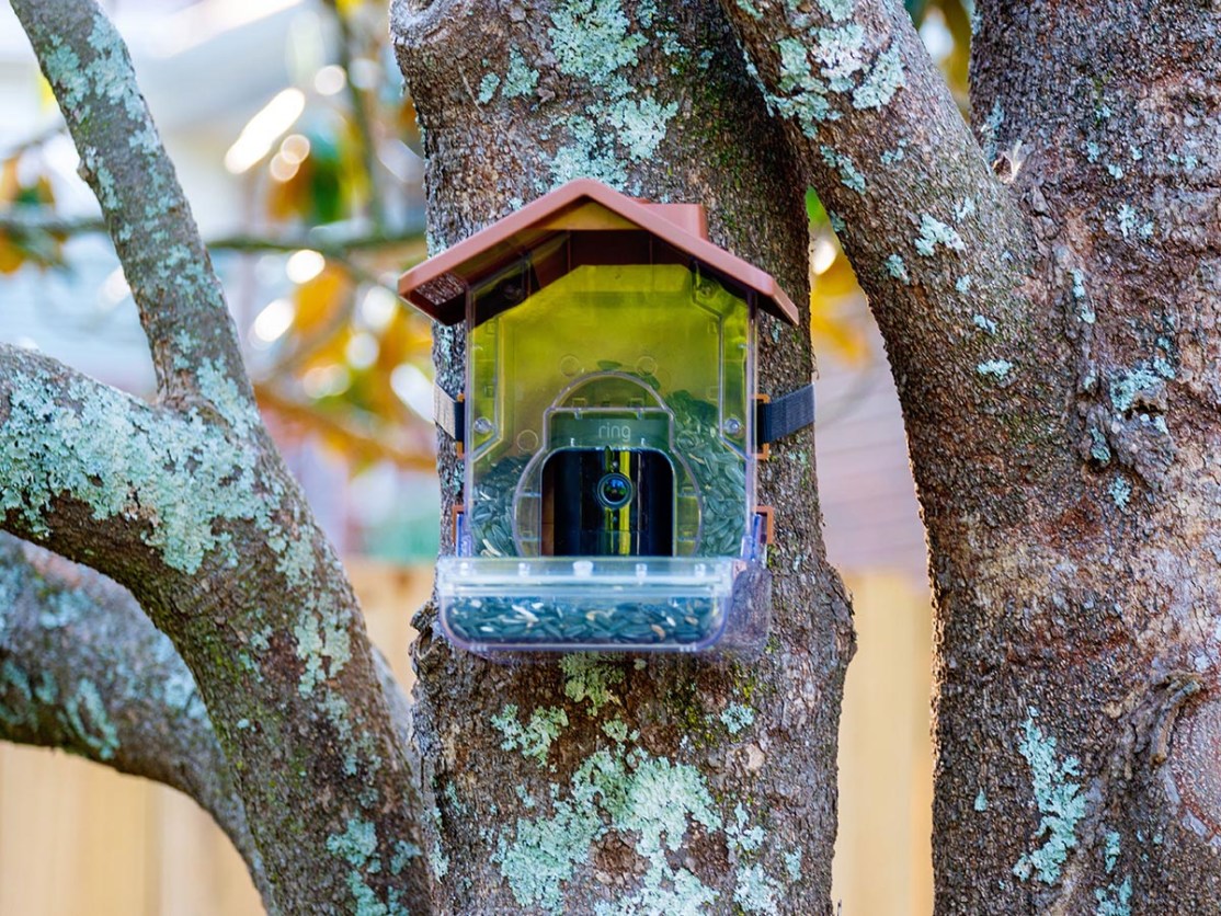 Wasserstein Bird Feeder Smart Camera Case Does it Work? Tested by