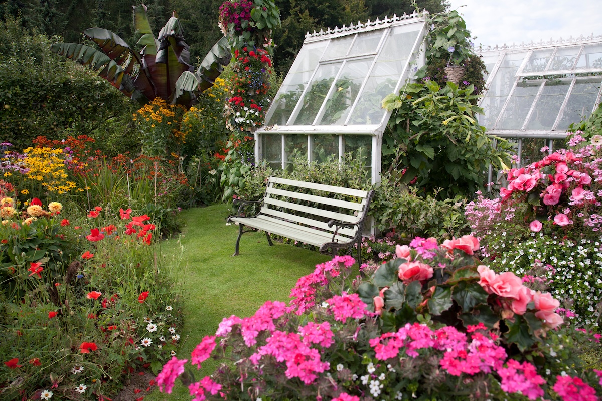 A glass greenhouse sits at the back of a yard, lots of different kinds of flowers in a rainbow of colors blooming all around it.