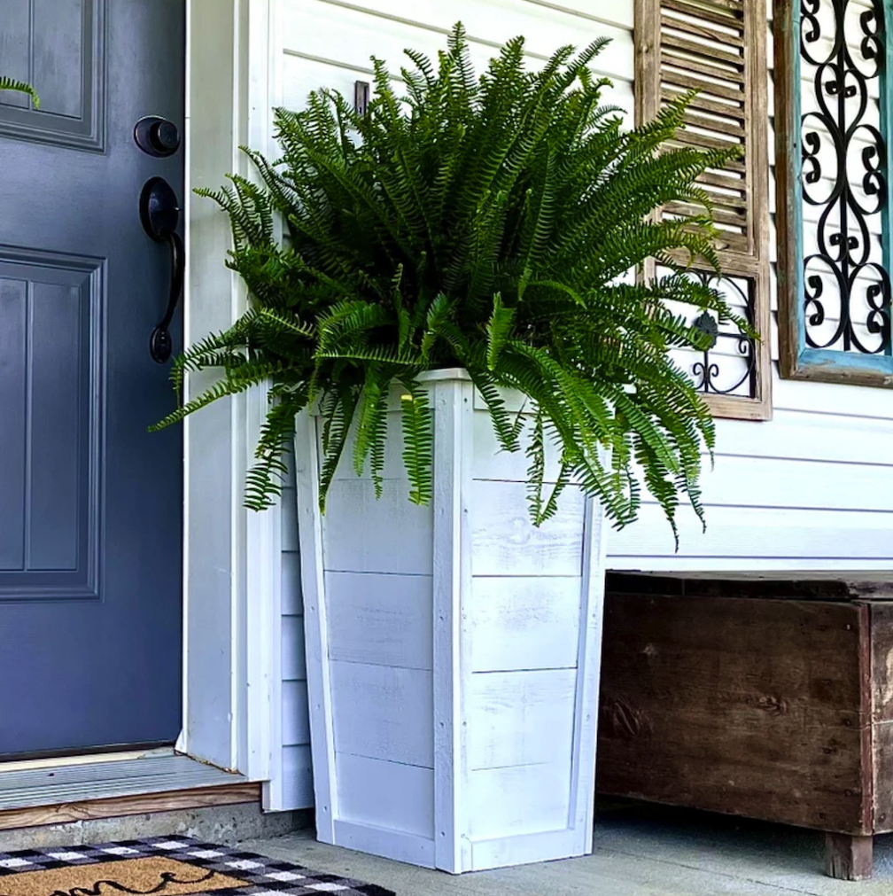 tall white painted wood planter box with lush green plant on porch of white house with blue front door