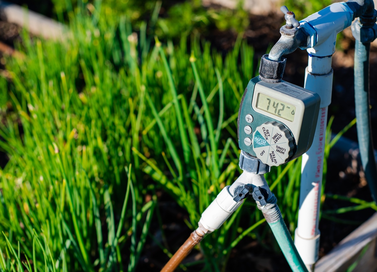 Close-up large display of water timer at community garden with two hoses connected to the timer.