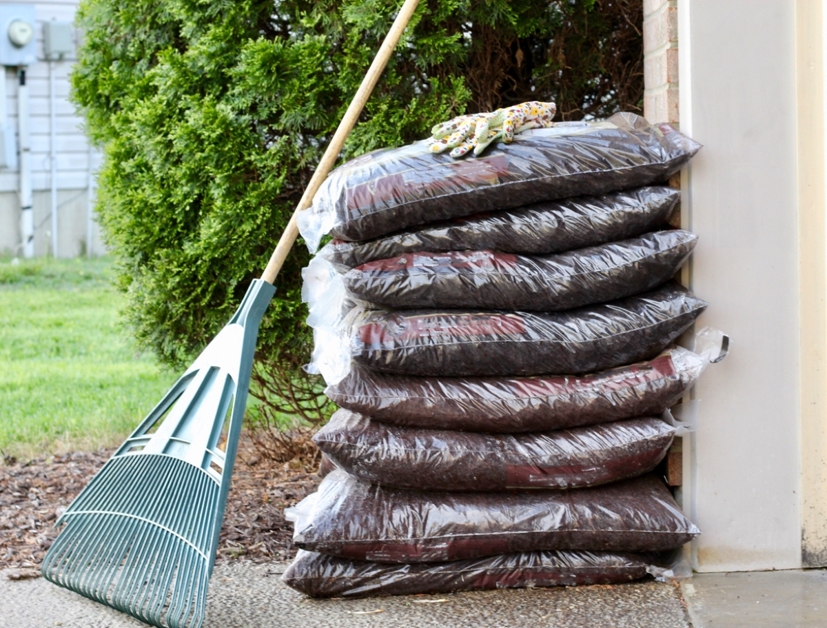 Does Mulch Attract Termites? Bob Vila