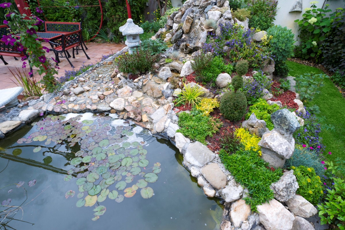 Outdoor pond surrounded by plants