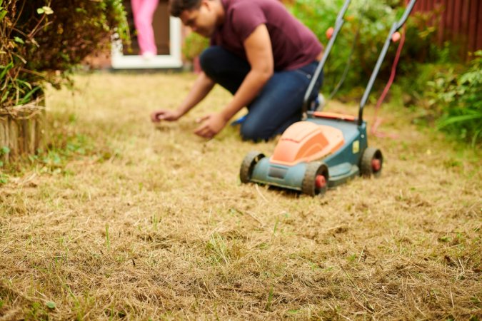 Person looking at brown lawn