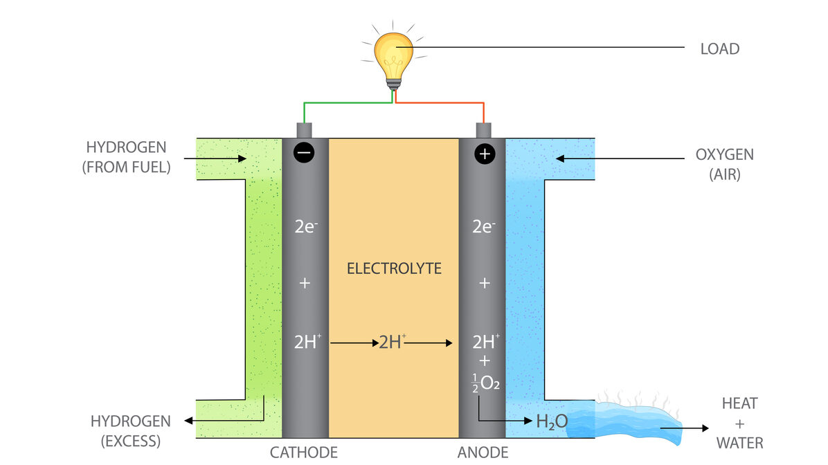 infographic depicting a lightbulb being powered by hydrogen and water entering device at opposite ends