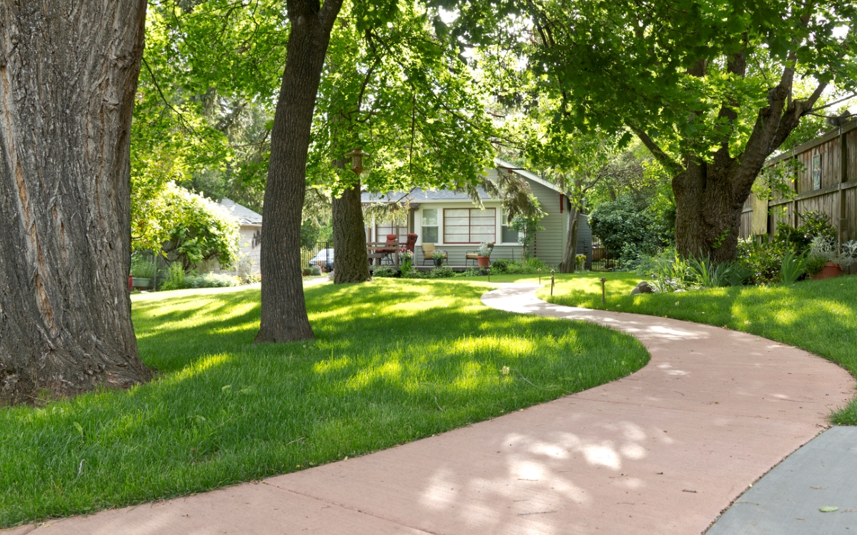 Yard shaded by trees