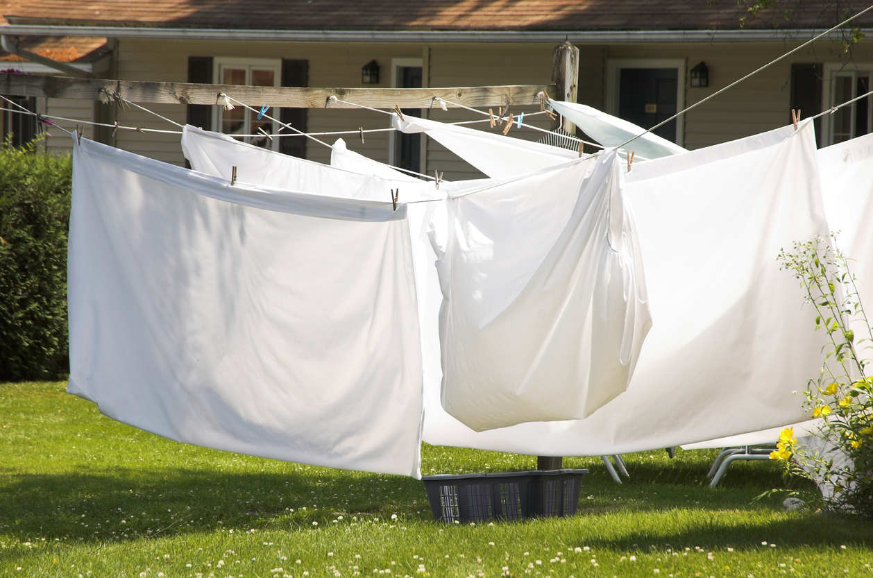 large white sunlit sheets hanging on clotheslines in the backyard of a suburban home