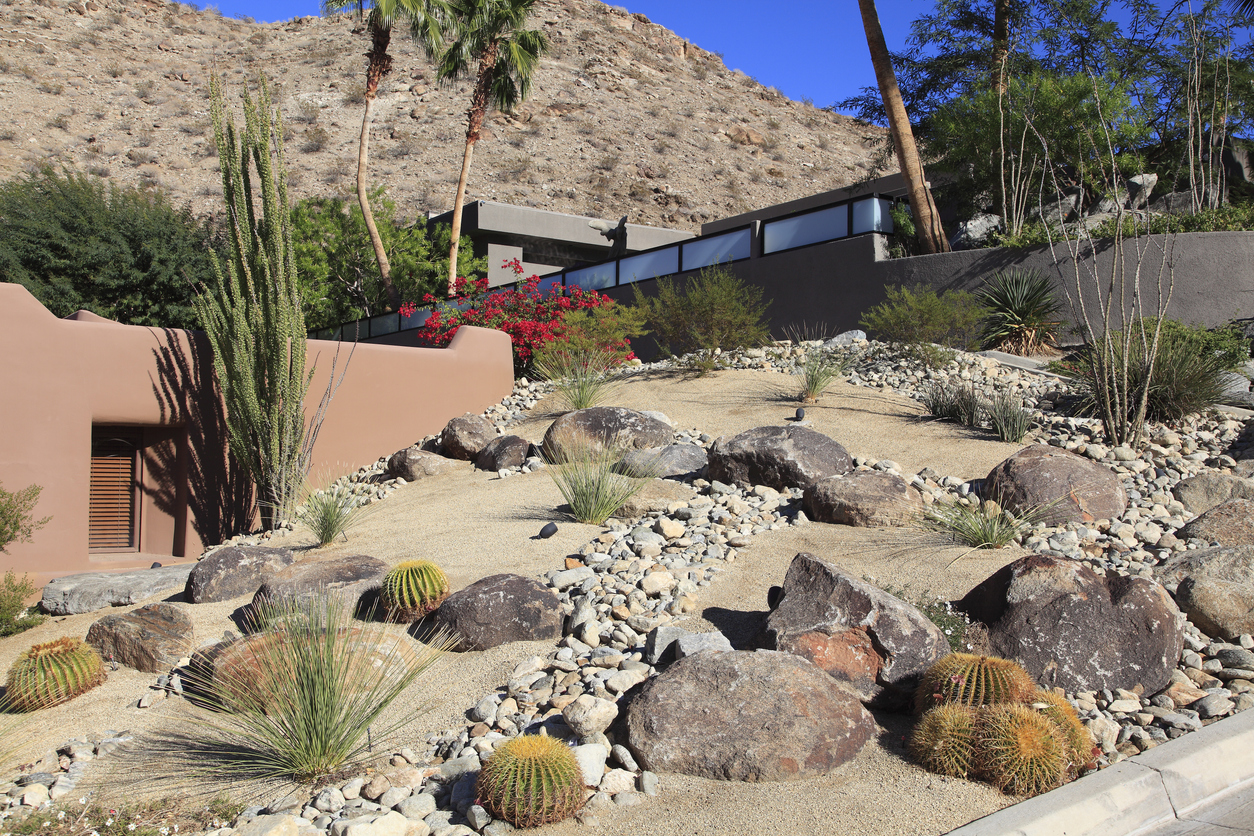 Xeriscaped Desert Residential Landscaping