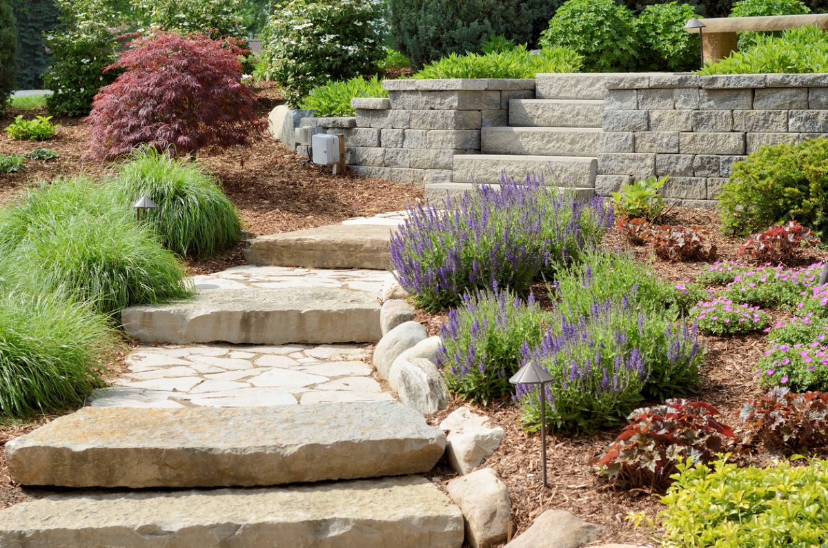 Hardscaping with ornamental plants