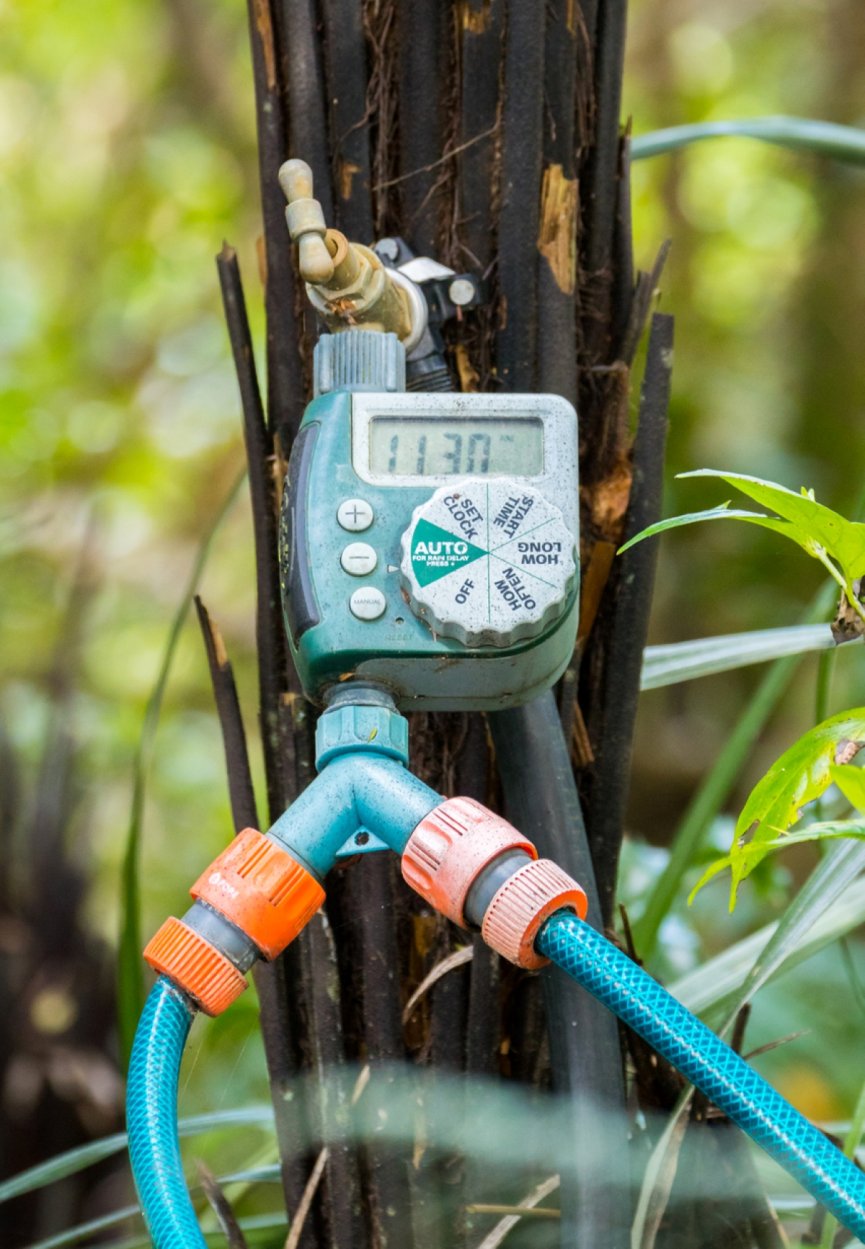 Lanscape Timer The Invincible Yard: 25 Ideas for Lazy Landscaping