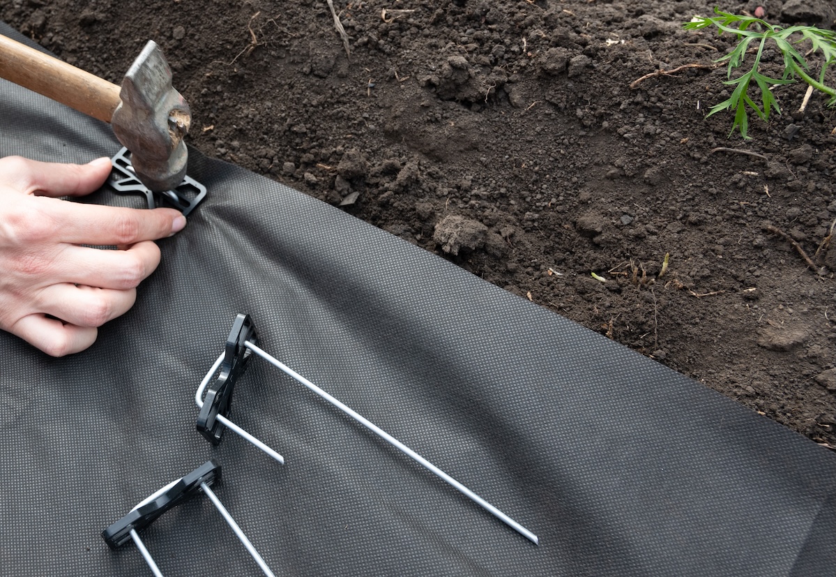 A person laying black weed fabric using galvanized steel pegs and a mallet. 