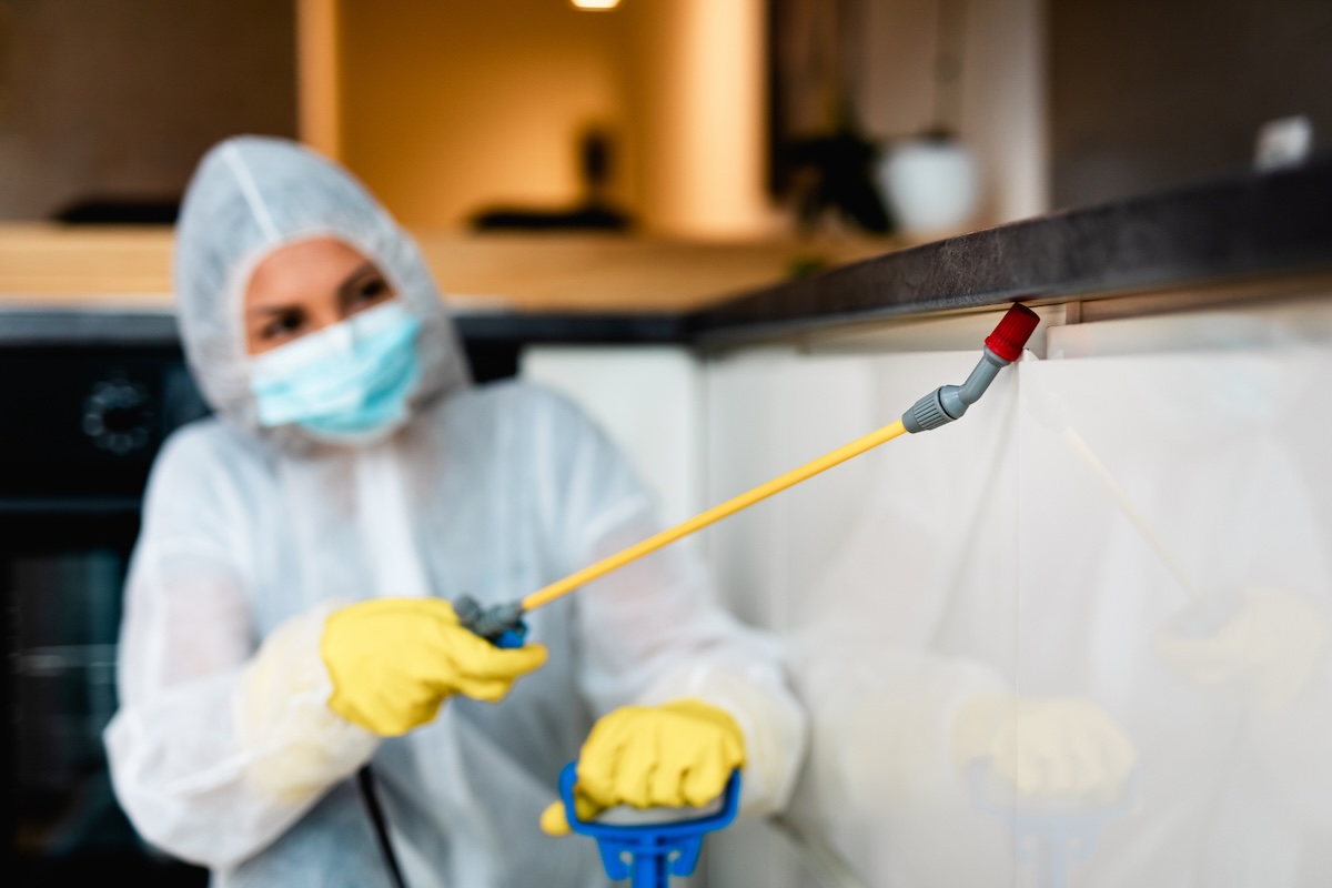 A professional exterminator sprays mosquito repellant indoors.