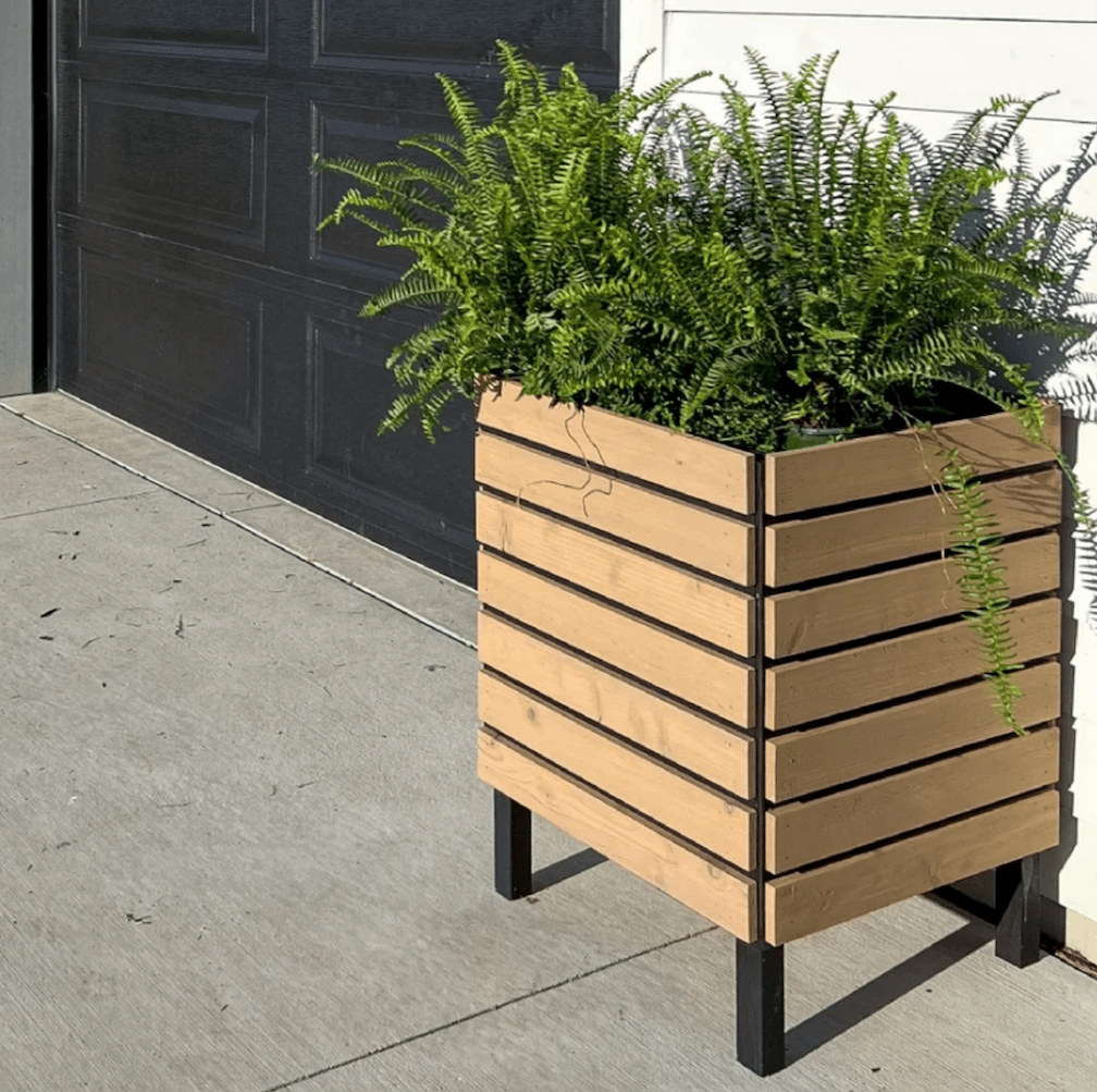 fern plant in square slatted planter box on driveway next to garage
