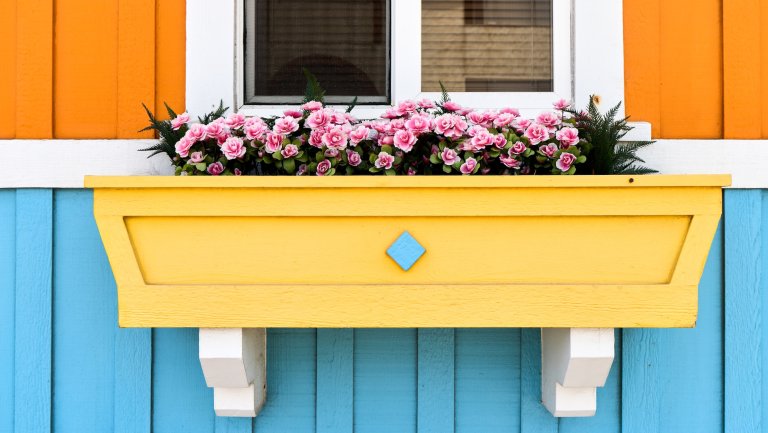 A cheerful yellow window planter holds pink flowers; exterior of house is orange on top and aqua on bottom, with white trim between.