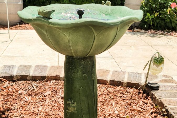 Nature’s Serenade: My Experience With the Smart Solar Bird Bath Fountain