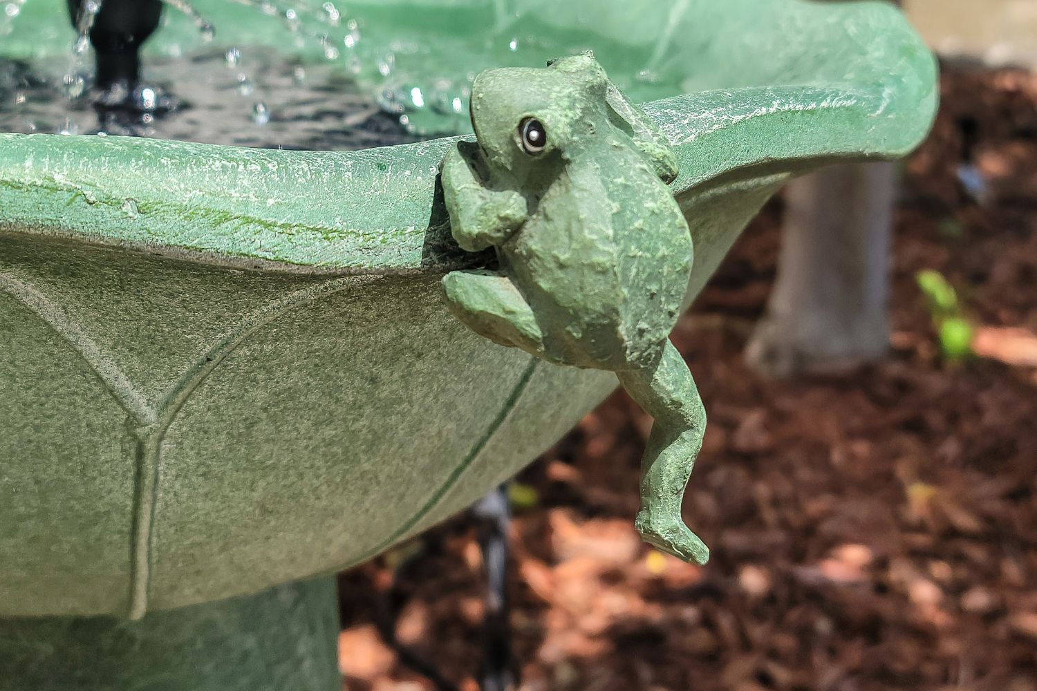 Close up of frog figurine on solar bird bath