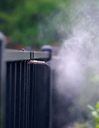 Mosquito Misting System Cost