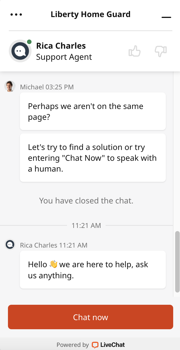 Online Chat Assistant