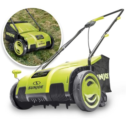 The Best Lawn Dethatchers of 2024 for Healthy Grass, Tested
