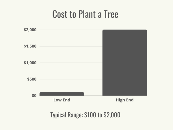 How Much Does It Cost to Plant a Tree?
