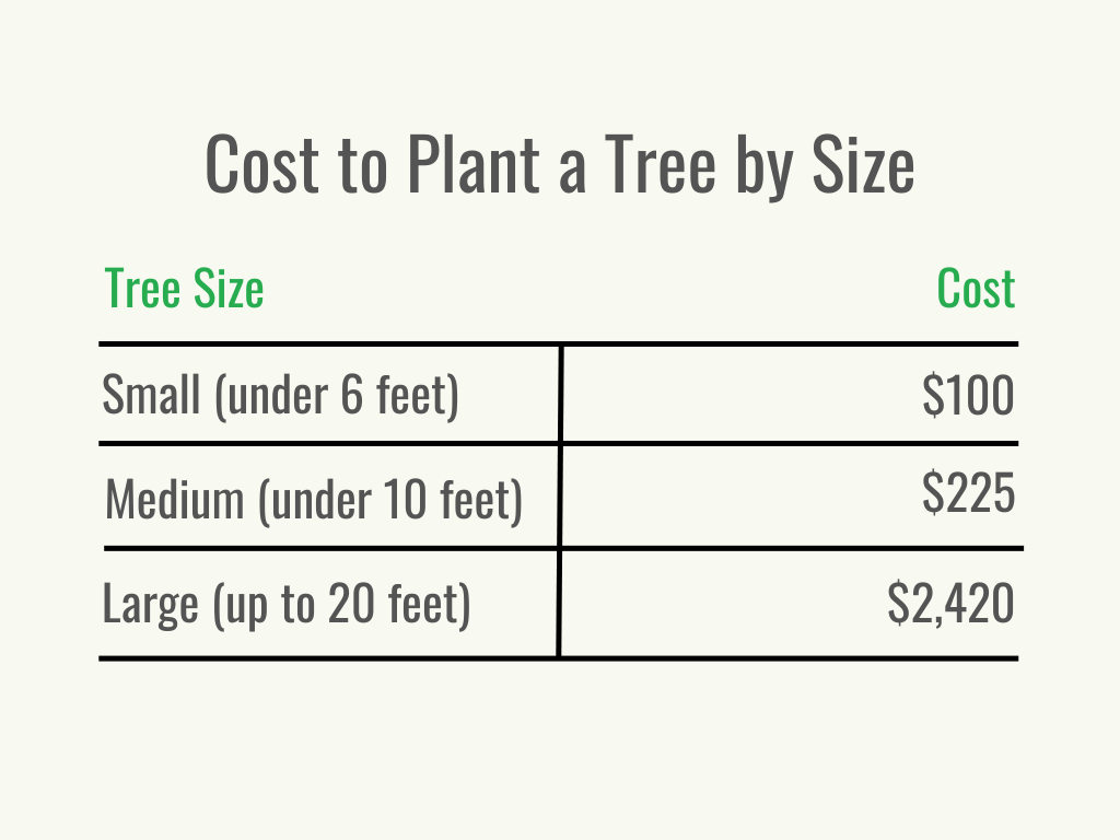 Visual 2 - HomeAdvisor - cost to plant a tree - cost per service - May 2023