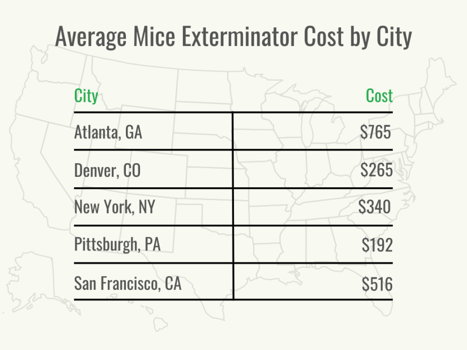How Much Does a Mice Exterminator Cost? (2023) Bob Vila