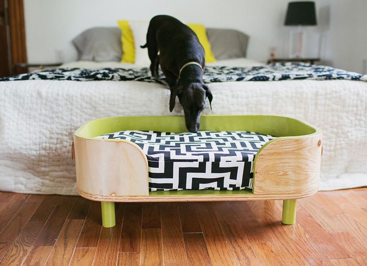 Small dog looking at stylish pet bed