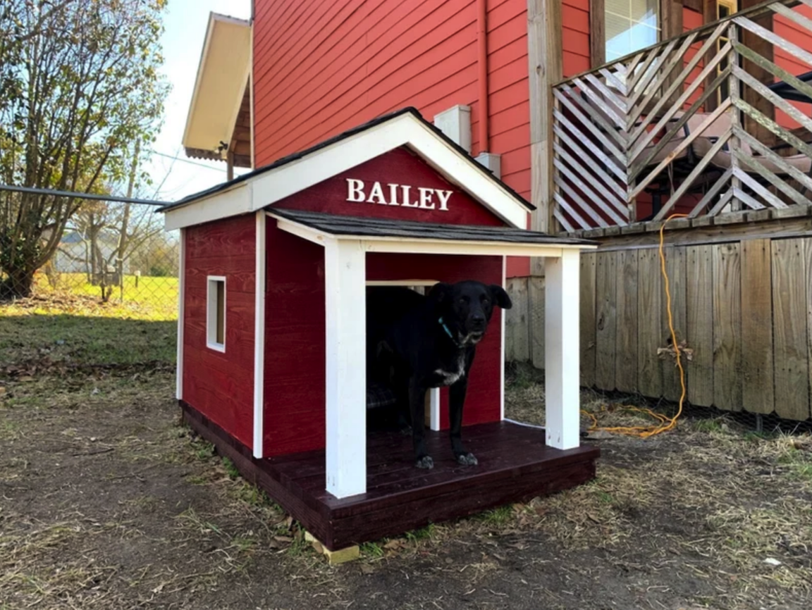 red farmhouse style dog house with dog name Bailey in white at the top in backyard near house with black dog standing inside