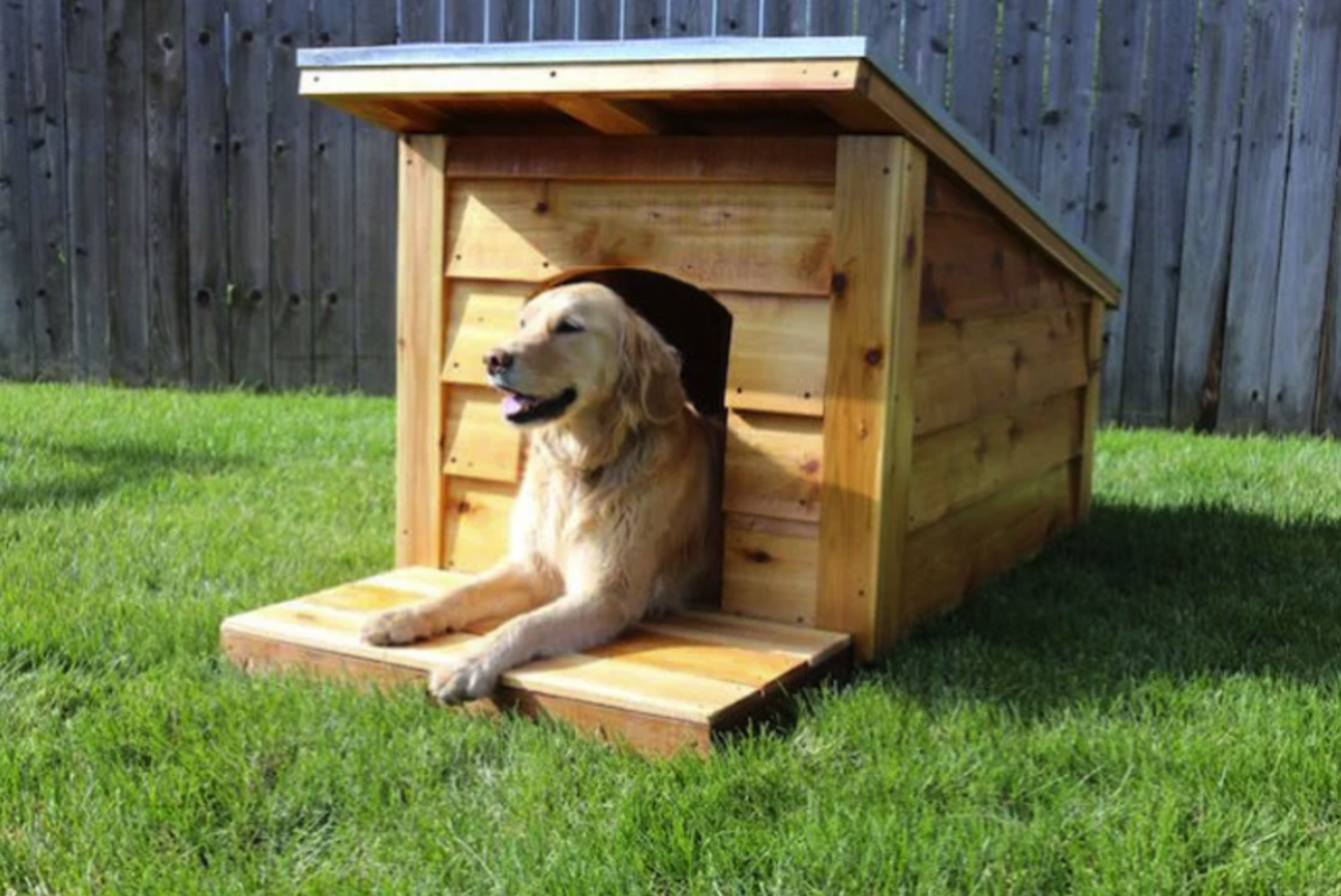 golden retriever sitting inside diy dog house made with large panels of light colored wood