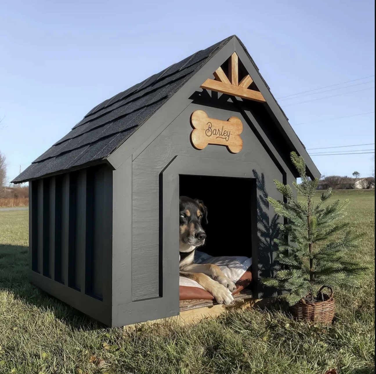 large painted wood dog house with tiny pine tree outside and a big dog sitting inside in the middle of a field