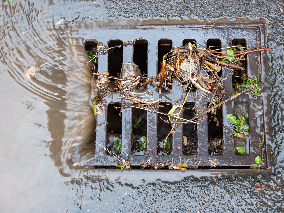 close up on square grill of curbside drain with water runoff and grass debris