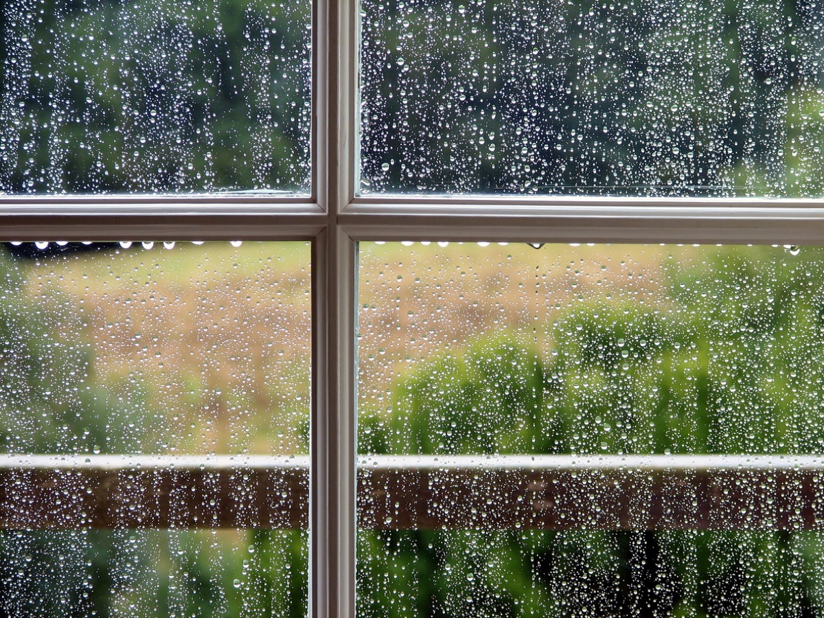 Rain drops rolling down window
