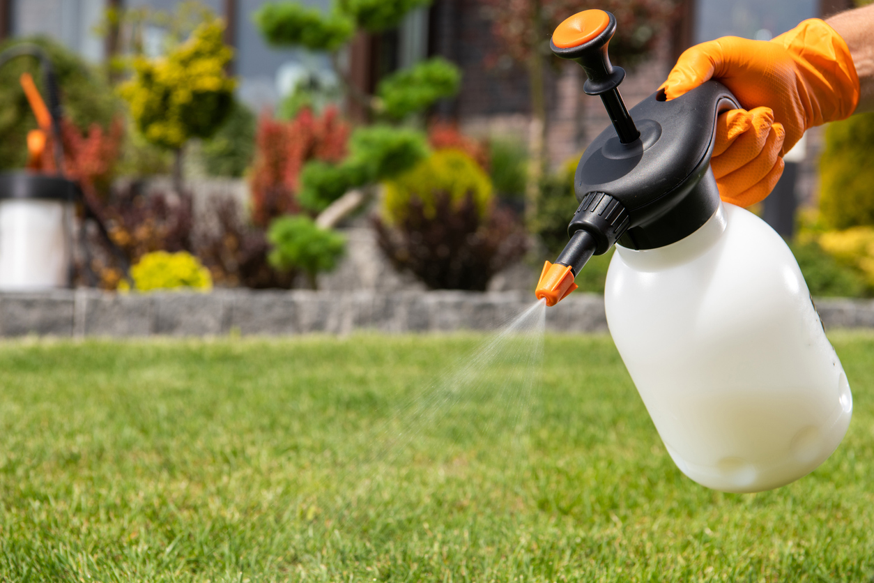 one hand wearing orange glove sprays weed killer from white bottle in garden with landscaping in background and green grass