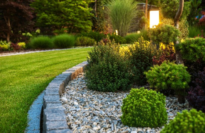 The 12 Best Trees for Front-Yard Landscaping