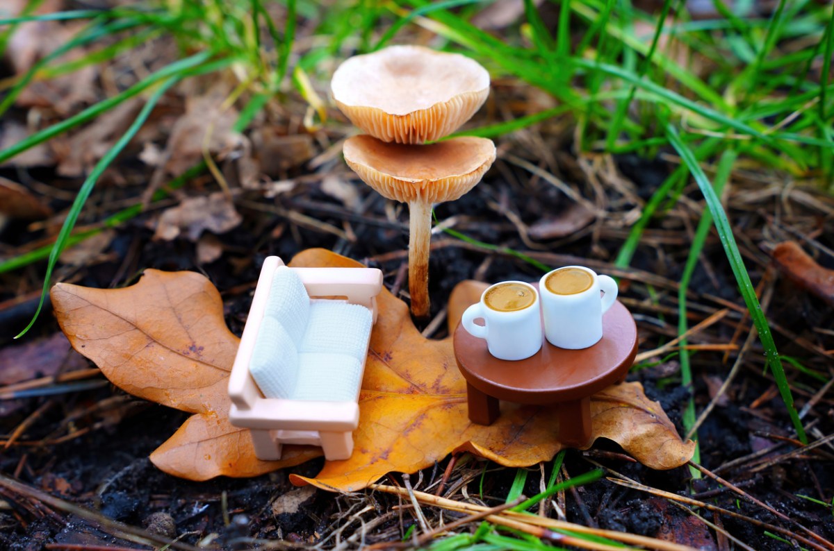 miniature-white-sofa-and-coffee-table-with-mugs-sits-on-a-dried-leaf-under-a-brown-mushroom-in-the-grass