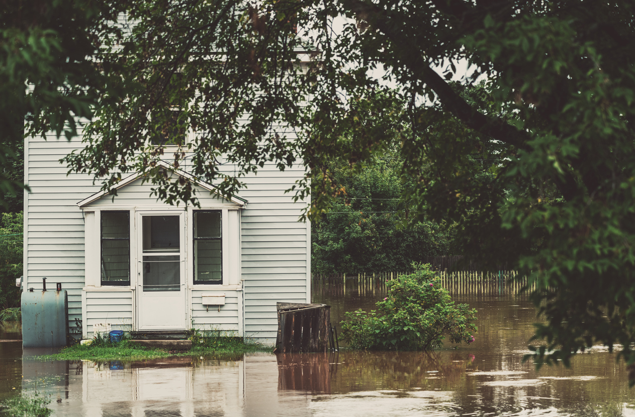 home with white siding surrounded by trees and flooded lawn