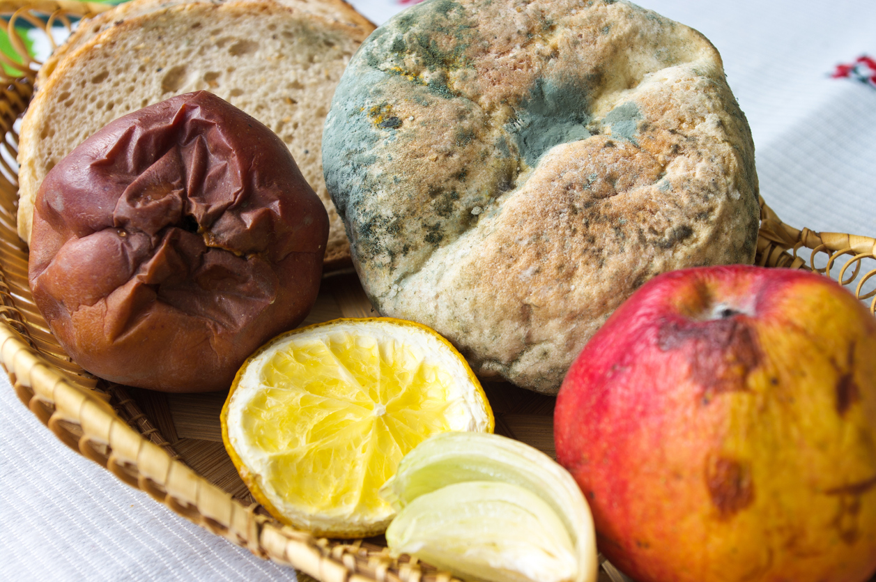 rotting fruit and moldy bread in basket