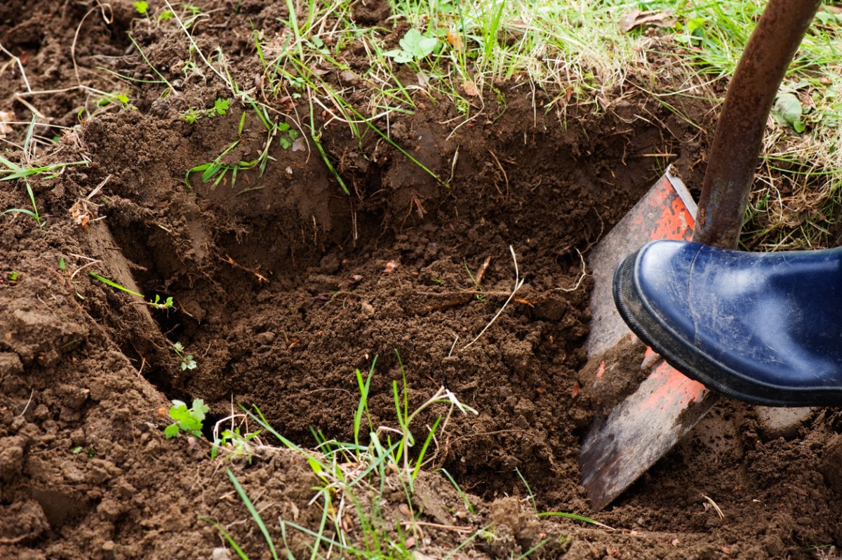 shovel being pushed into hole in soil by one black boot in grass