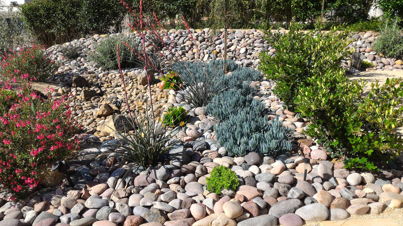 Xeriscaped Front Yard with Dry Creek Bed and Solar Lighting