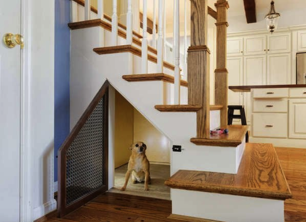 low view of staircase extending into kitchen with an open door to under stairs space where a small dog is hiding
