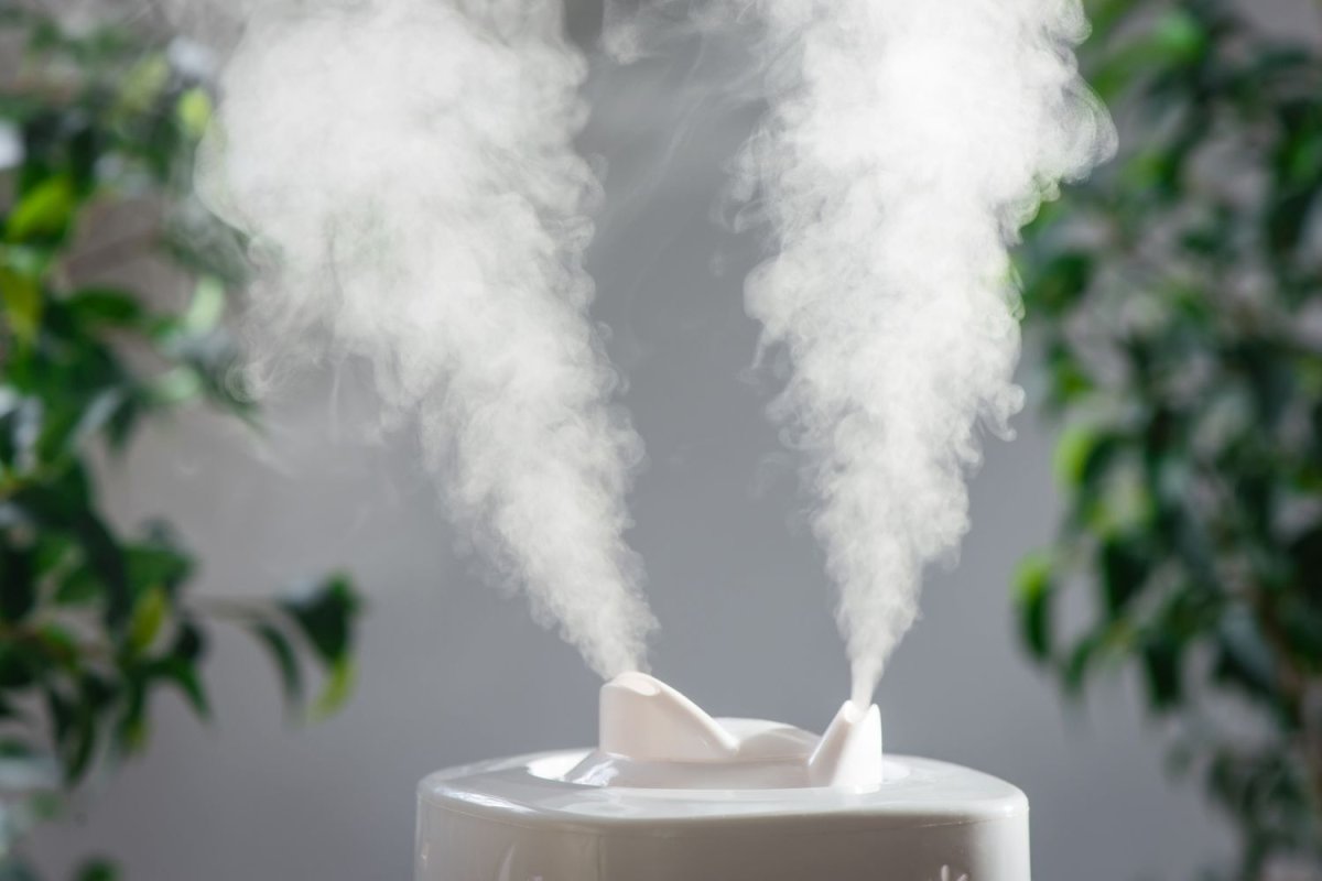 How Much Does a Whole-House Air Purifier Cost