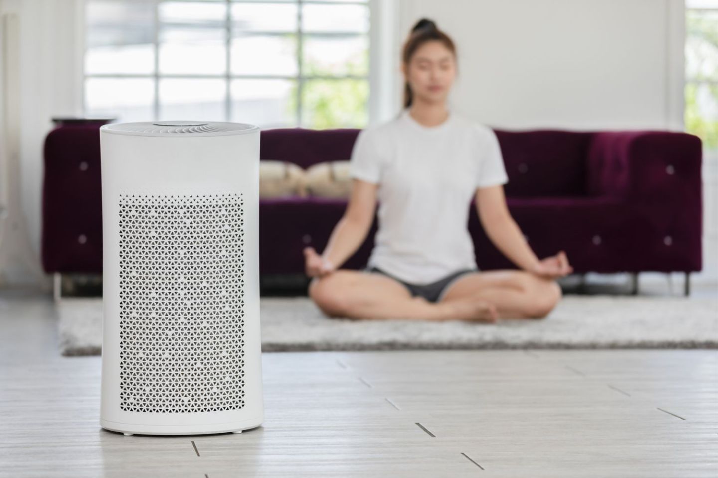 How Much Does a WholeHouse Air Purifier Cost? (2023) Bob Vila