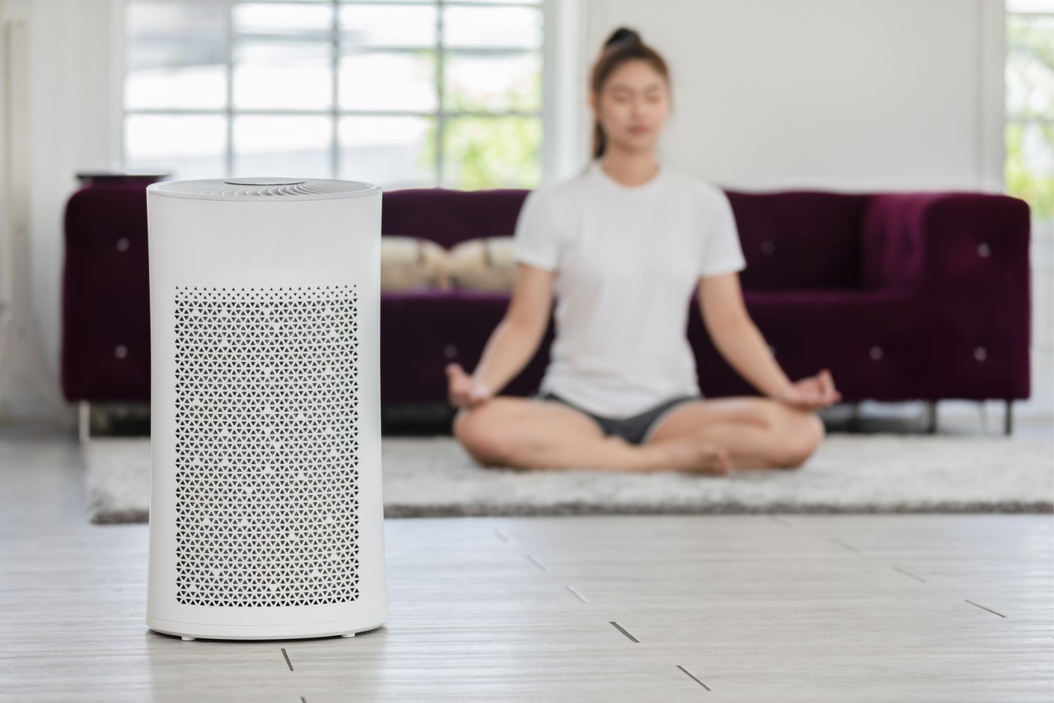 How Much Does a WholeHouse Air Purifier Cost? (2024) Bob Vila